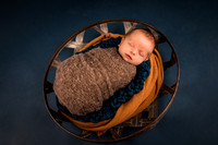 Jameson ~ Newborn