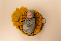 Leanna Stumpe ~ Newborn