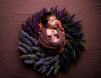 Addison ~ Newborn