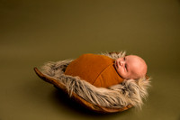Camden Gramke ~ Newborn