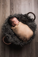 Cox Newborn
