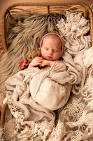 Bristol Scrogin ~ Newborn
