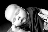 Marshall - 2 Months