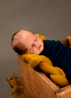 Paxton ~ Newborn