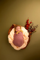 Sophia ~ Newborn