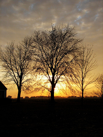 Landscape 248